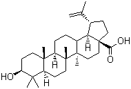Betulinic acid, 472-15-1, Manufacturer, Supplier, India, China