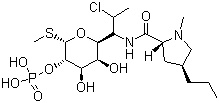Clindamycin phosphate, 24729-96-2, Manufacturer, Supplier, India, China