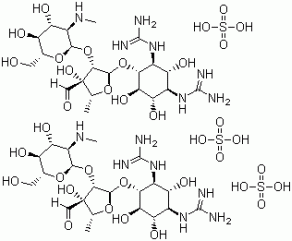 Streptomycin Sulfate Oral, 3810-74-0, Manufacturer, Supplier, India, China