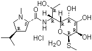 Lincomycin hydrochloride monohydrate, 7179-49-9, Manufacturer, Supplier, India, China