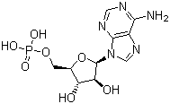 Vidarabine monophosphate, 29984-33-6, Manufacturer, Supplier, India, China