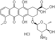 Epirubicin hydrochloride, 56390-09-1, Manufacturer, Supplier, India, China