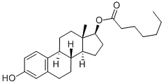 Oestradiol 17-heptanoate, 4956-37-0, Manufacturer, Supplier, India, China