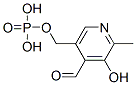 Pyridoxal 5'-phosphate, 853645-22-4, Manufacturer, Supplier, India, China