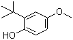 Butylated Hydroxyanisole, 25013-16-5, Manufacturer, Supplier, India, China