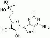Fludarabine phosphate, 75607-67-9, Manufacturer, Supplier, India, China