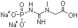 Creatine phosphate sodium, 922-32-7, Manufacturer, Supplier, India, China