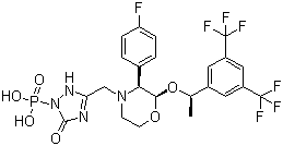 Fosaprepitant, 172673-20-0, Manufacturer, Supplier, India, China