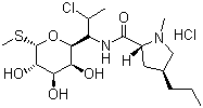 Clindamycin hydrochloride, 21462-39-5, Manufacturer, Supplier, India, China