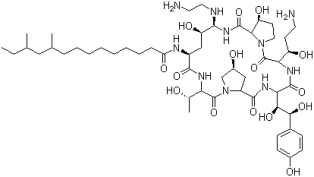 Caspofungin, 162808-62-0, Manufacturer, Supplier, India, China