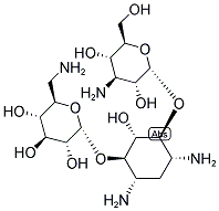 Kanamycin, 8063-07-8, Manufacturer, Supplier, India, China