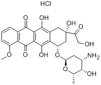 Doxorubicin, 23214-92-8, Manufacturer, Supplier, India, China