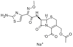 Cefotaxime Sodium, 64485-93-4, Manufacturer, Supplier, India, China