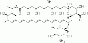 Amphotericin B, 1397-89-3, Manufacturer, Supplier, India, China